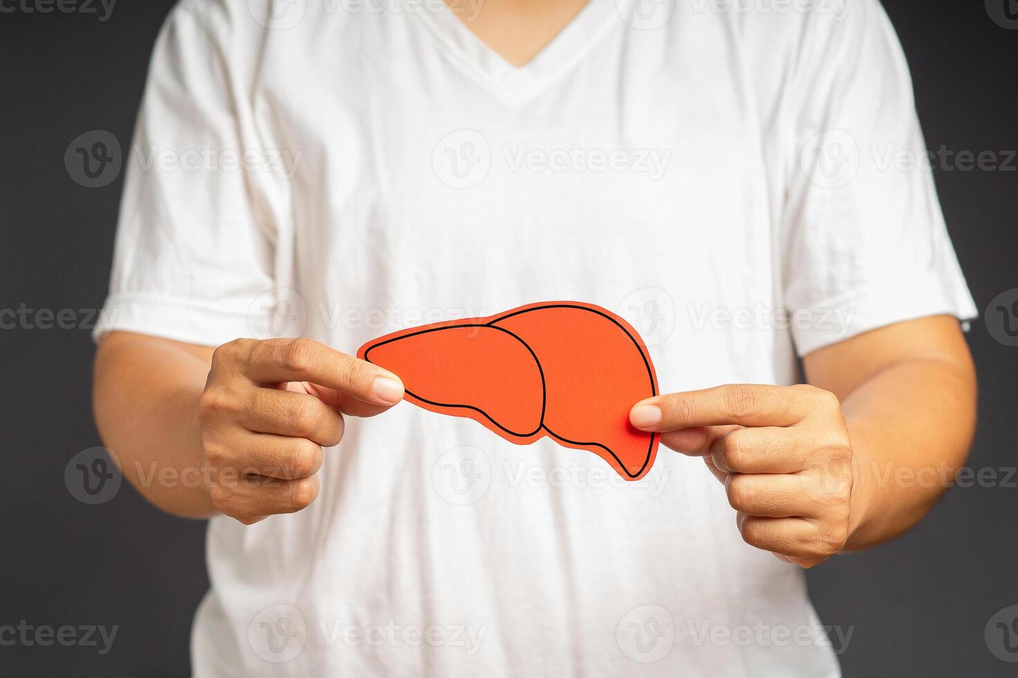 Close-up of hands holding a red liver shape symbol while standing on a gray background photo