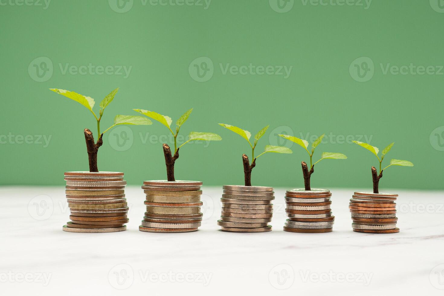 Tree growing on a pile of coins money. Business investment profit and dividend money from saving concept photo