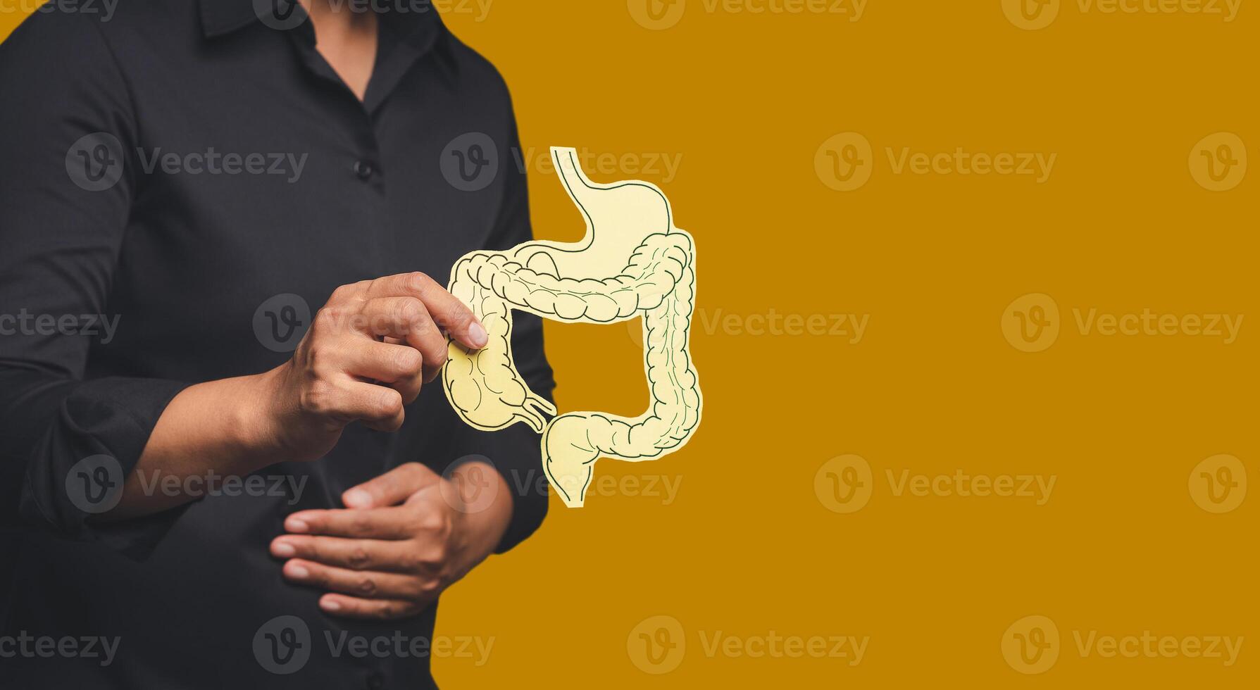 Hand holding a colon symbol and touching stomach painful suffering from stomachache causes of gastric ulcer, appendicitis, or gastrointestinal system disease photo