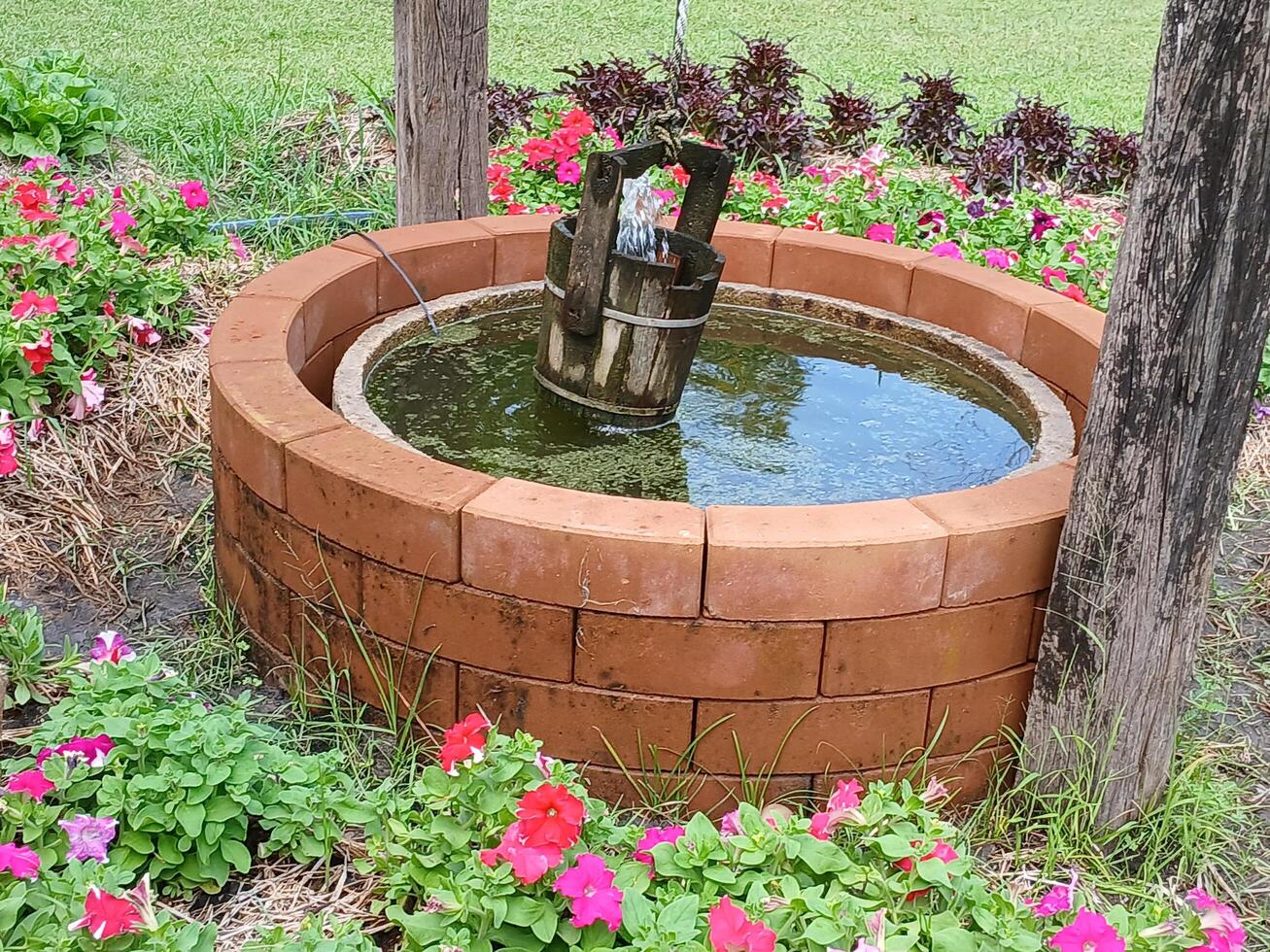 Pond water in landscape photo