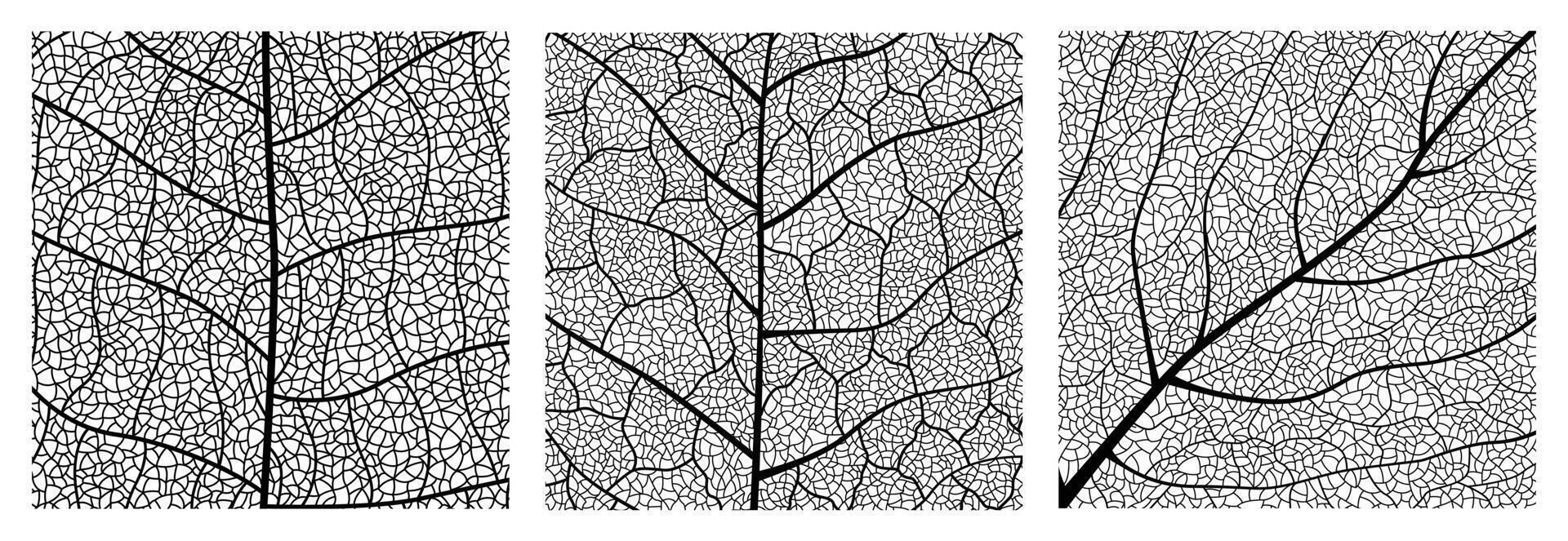 Close-up green leaf texture with intricate details of leaf veins showcasing natures botanical textures and patterns vector
