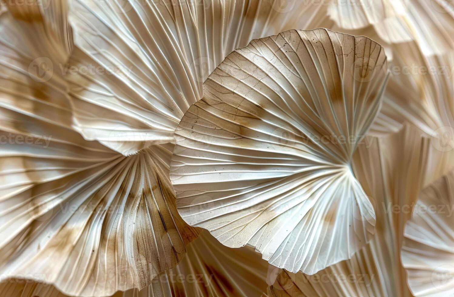 Beige Aesthetic Dried Leaves Delicate Background. Soft Wallpaper Texture of Transparent Macro Paper Leaves. photo