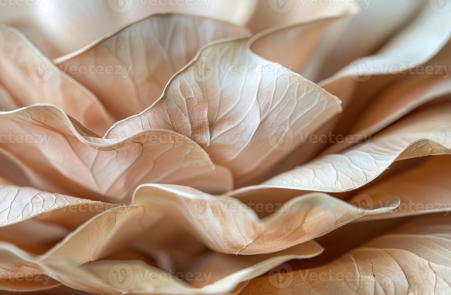 Beige Aesthetic Dried Leaves Delicate Background. Soft Wallpaper Texture of Transparent Macro Paper Leaves. photo