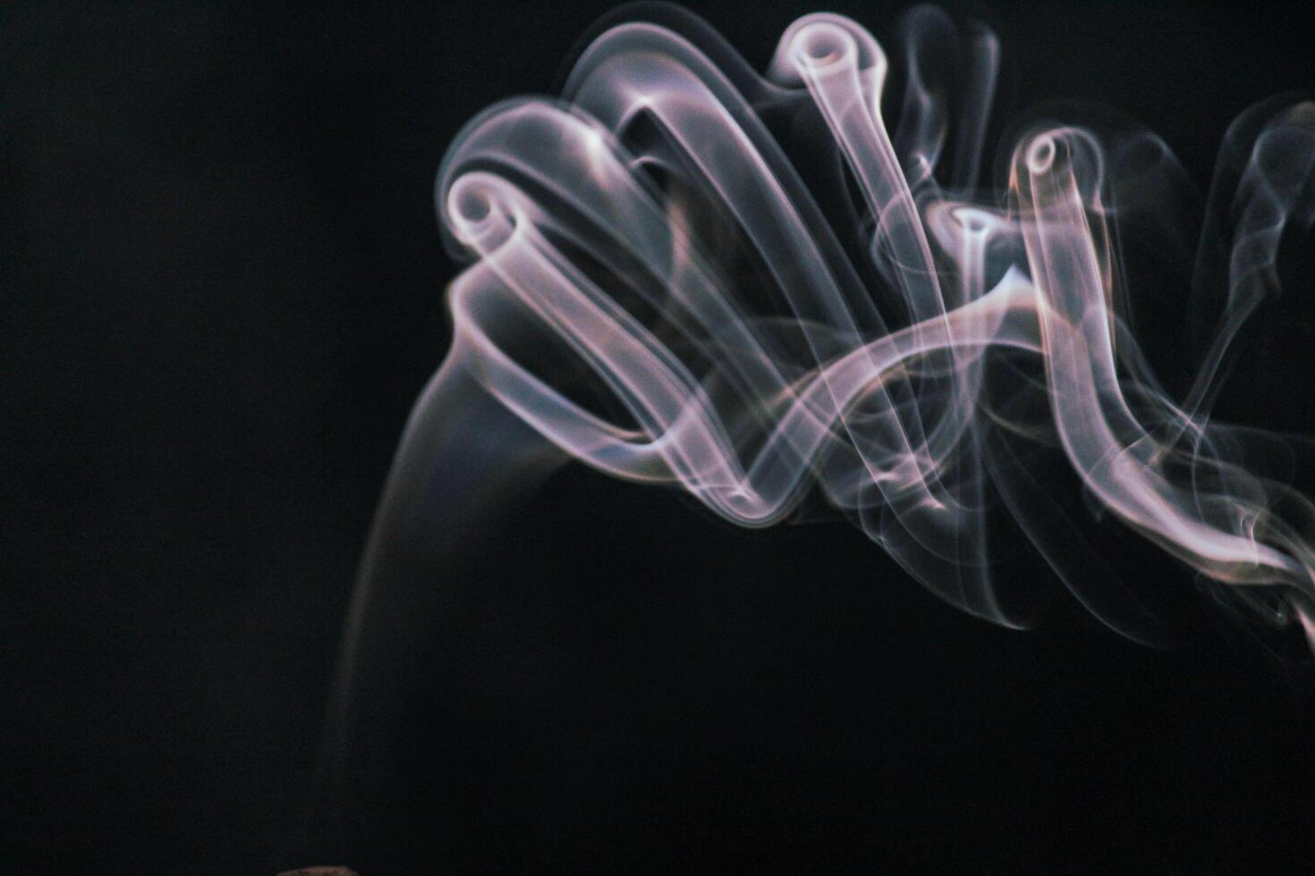 Graceful Drift of Smoke photo