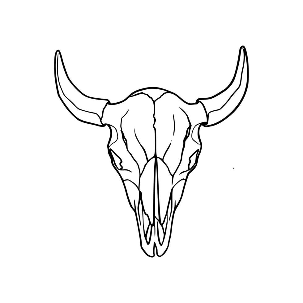 A drawing of a bull skull with horns vector