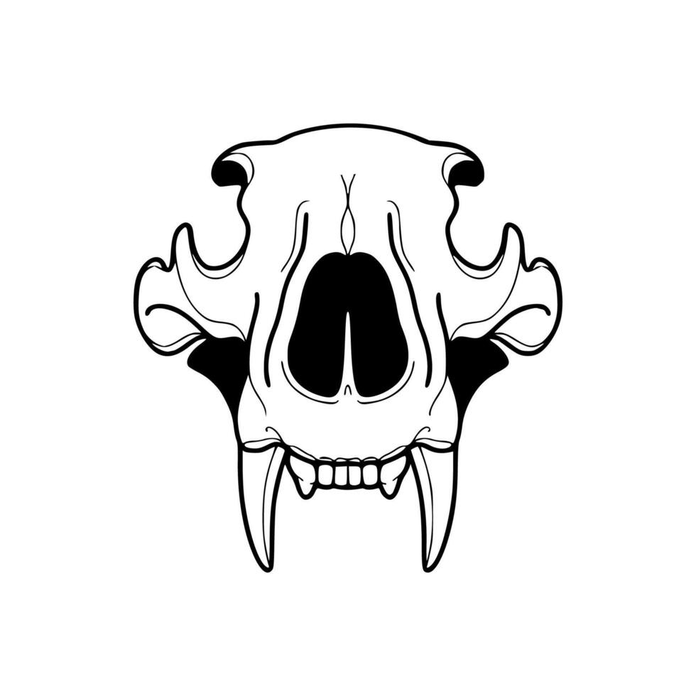 A black and white drawing of a cat's skull vector