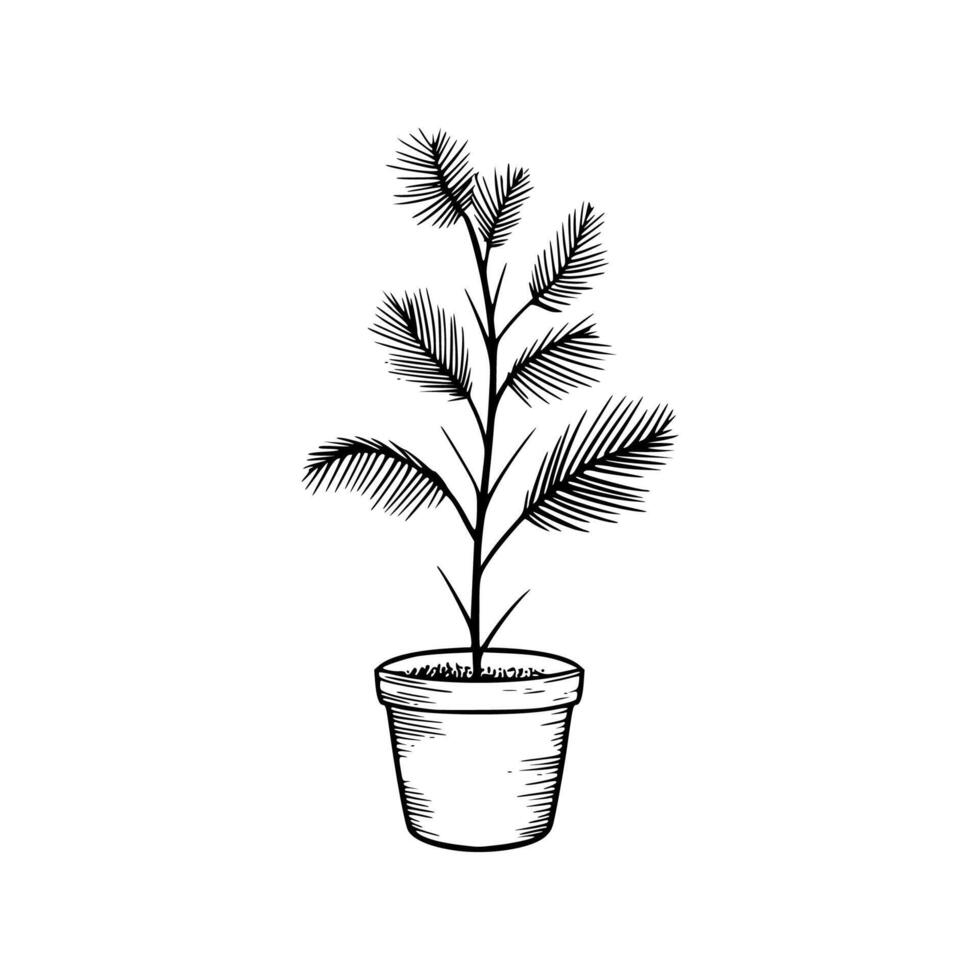 A drawing of a plant in a pot vector