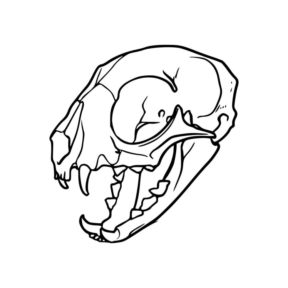 A cat skull with its mouth open vector