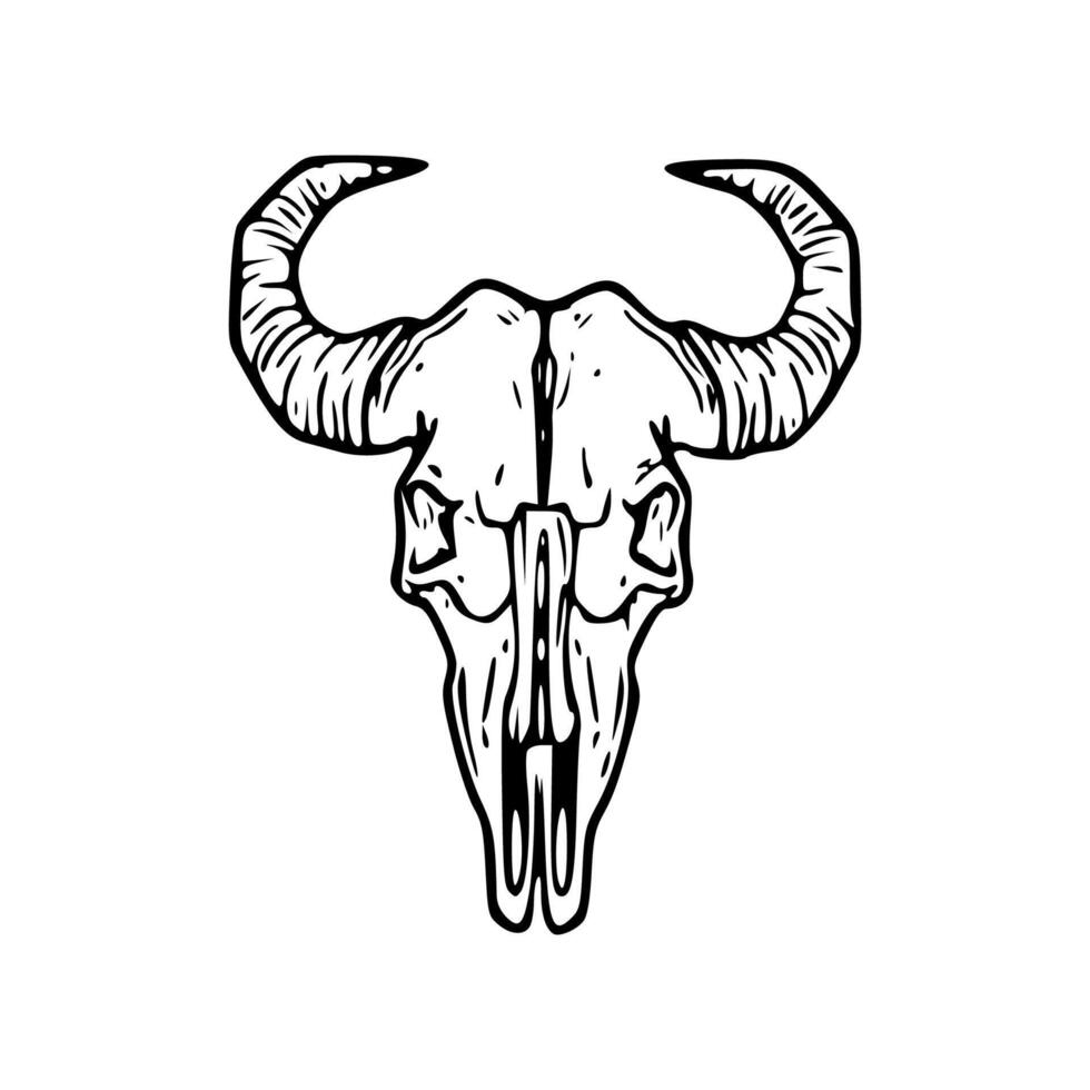 A bull skull with horns on it vector
