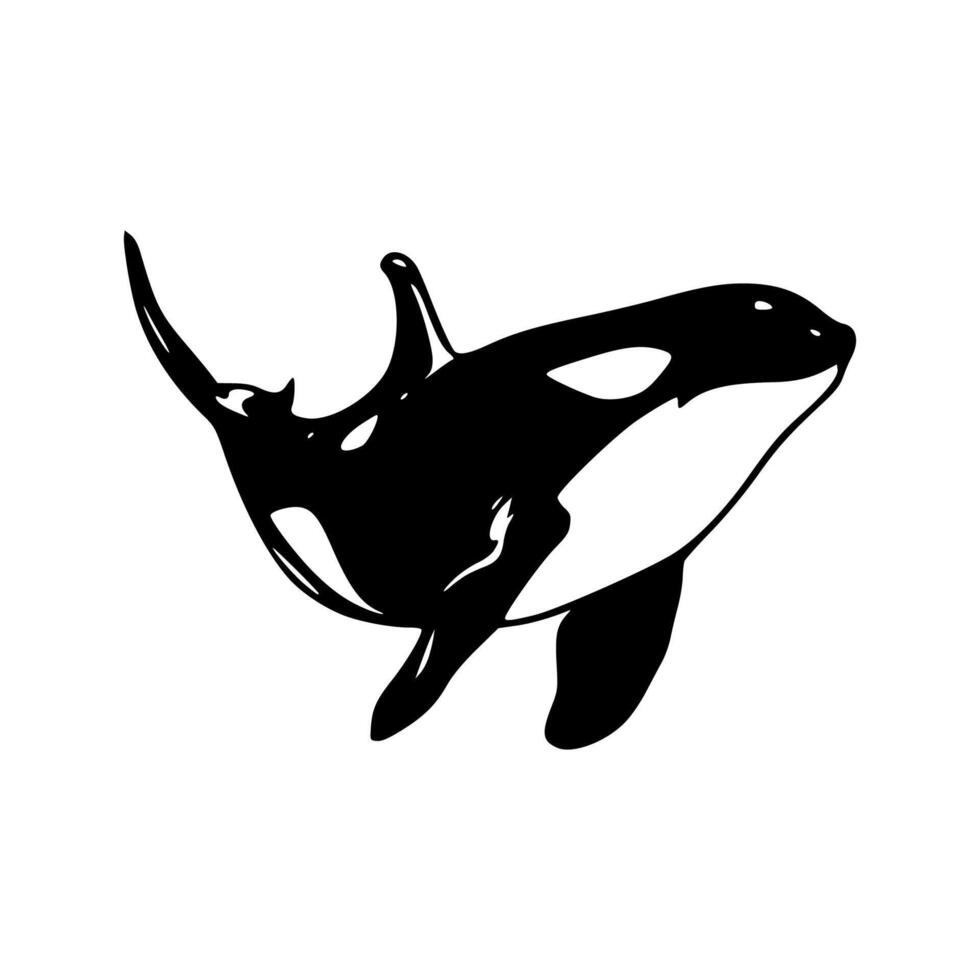 Killer whale orca orca orca orca orca orca orca orca or vector