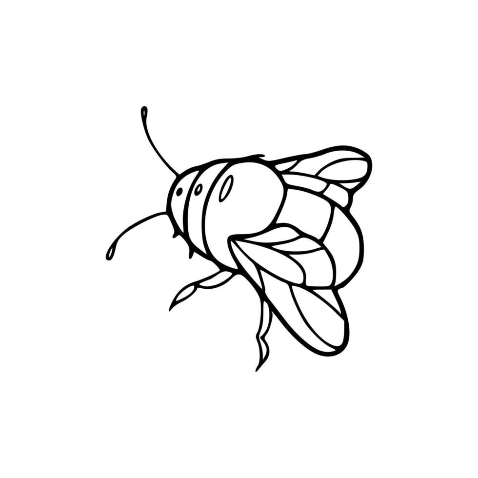 A black and white drawing of a bee vector
