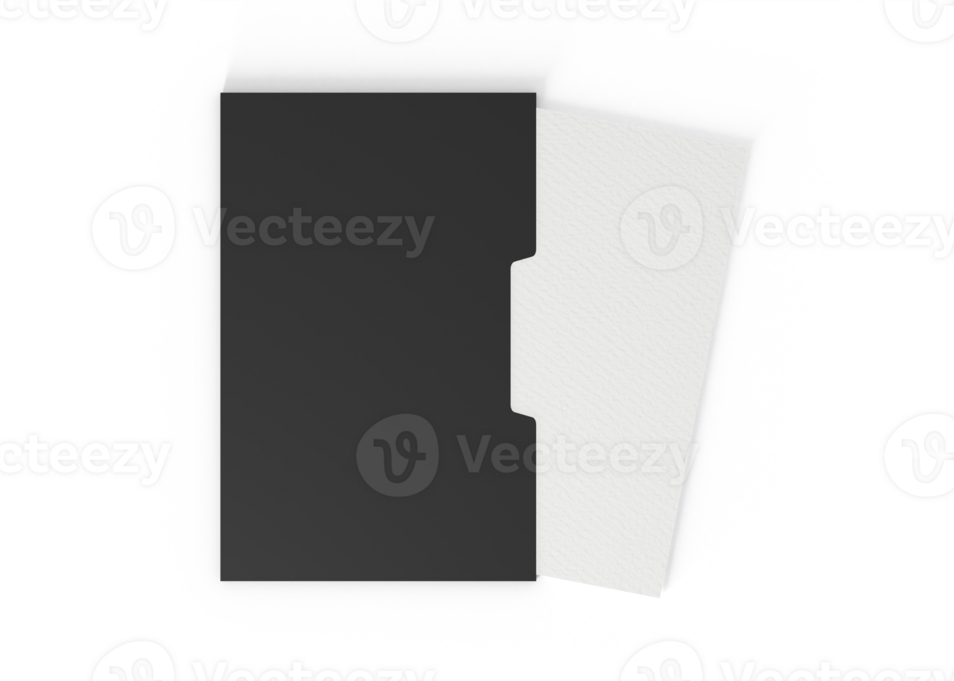 Stylish Branding Folder png