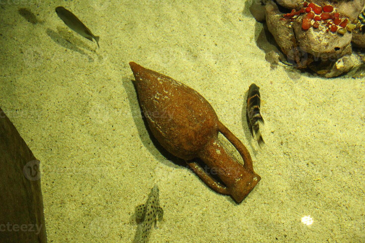 Amphora on the sand in the water. An ancient jug in an aquarium. Fossil photo