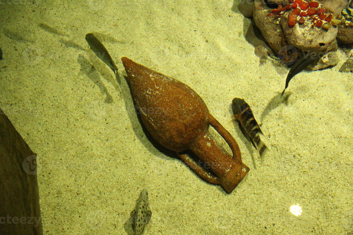 Amphora on the sand in the water. An ancient jug in an aquarium. Fossil photo