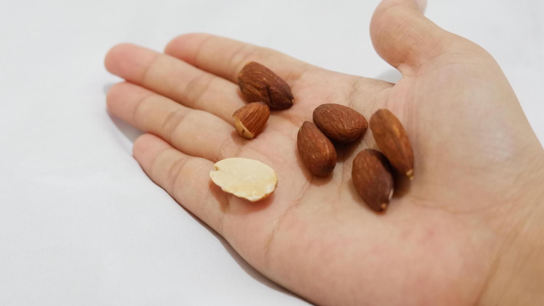 food, almond, nut, nuts, isolated, brown, healthy, snack, almonds, white, closeup, ingredient, seed, organic, macro, group, raw, roasted, hazelnut, diet, peanut, natural, heap, fruit, tasty photo
