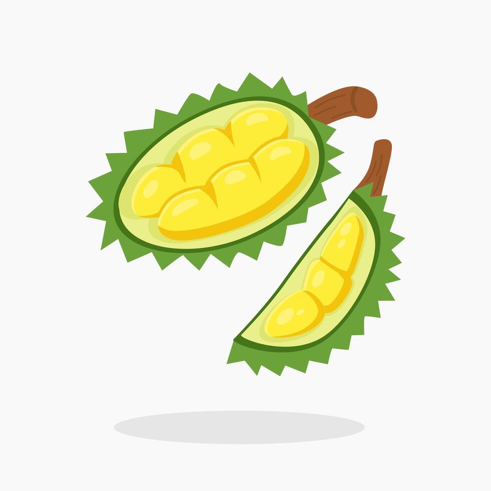 Durian fruit cartoon icon illustration isolated on white background. Peeled durian fruit. Durio zibethinus. vector