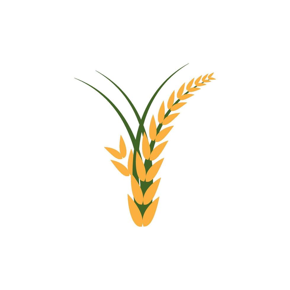 Rice logo design vector