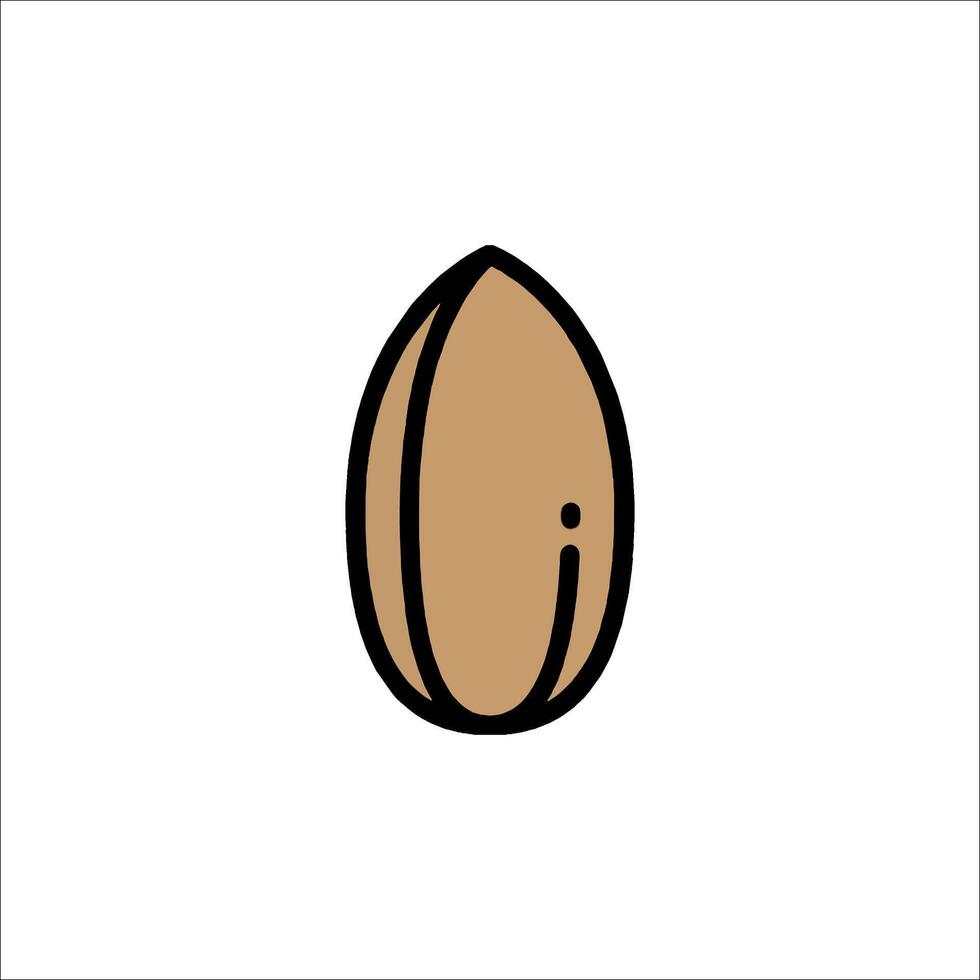 Almond icon illustration vector