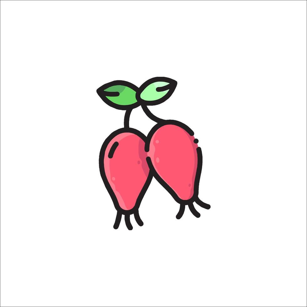 Two radishes are shown in a cartoon style vector