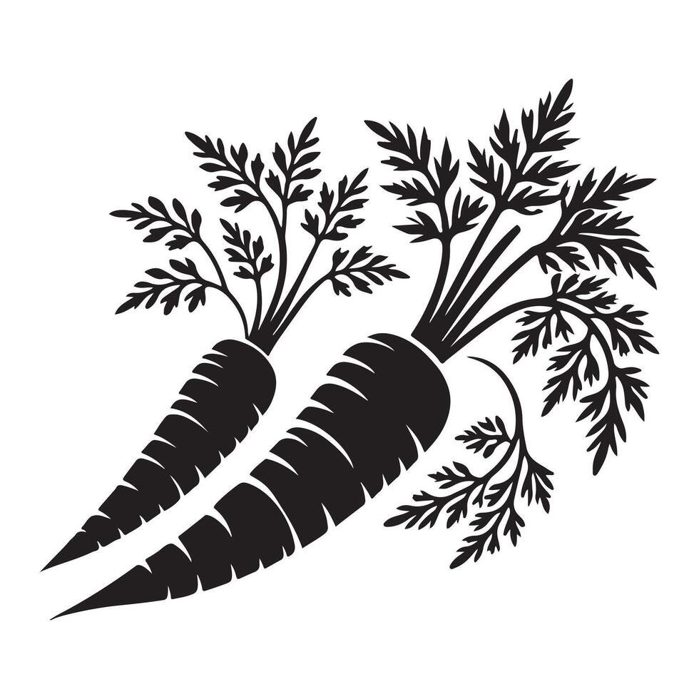 Two Carrots Silhouette Illustration of Fresh Vegetables vector