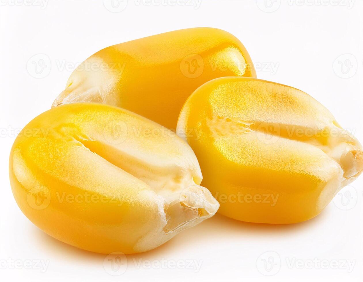 Corn seeds isolated on a white background photo