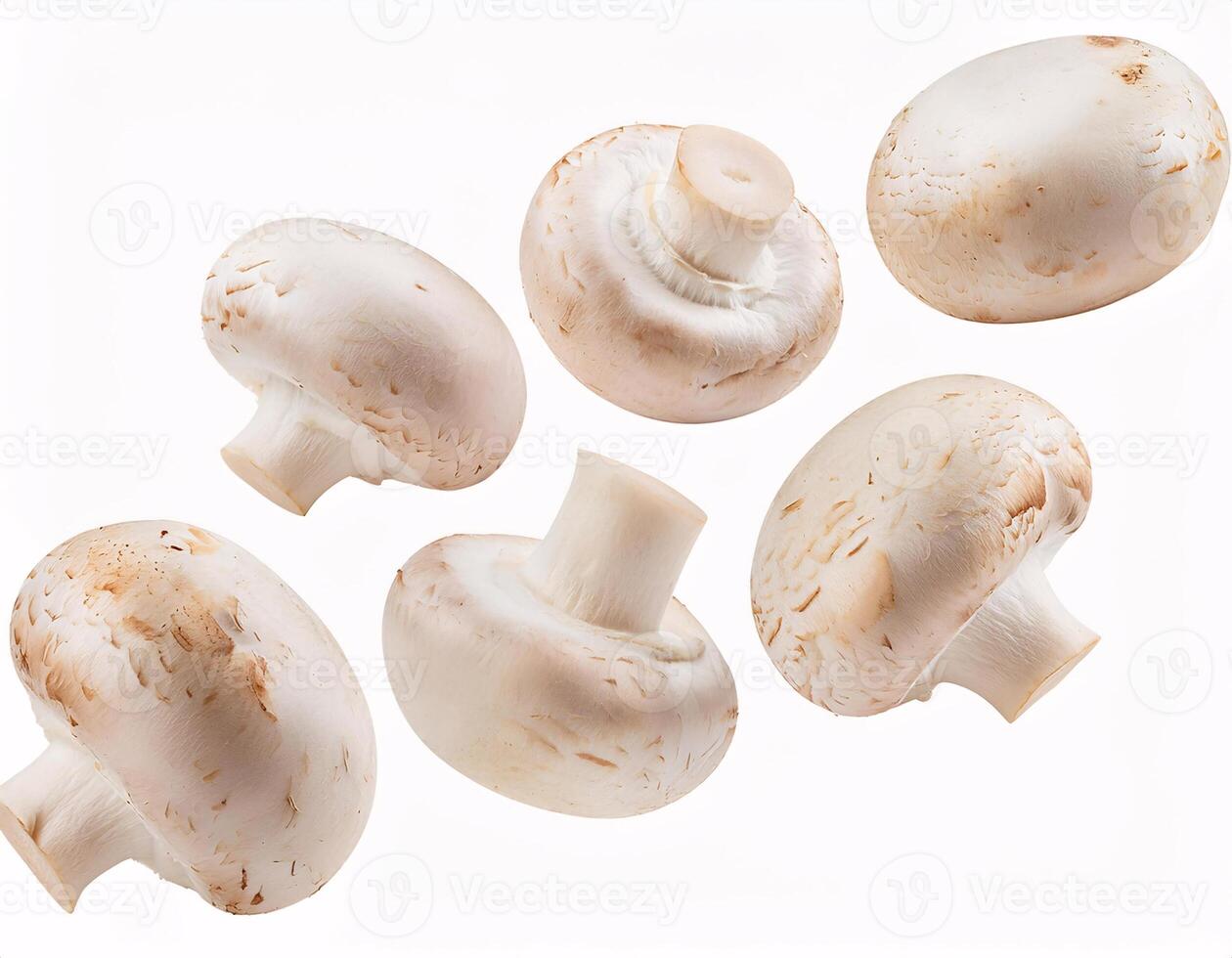 Falling fresh champignon mushrooms floating in the air, isolated on white background. photo