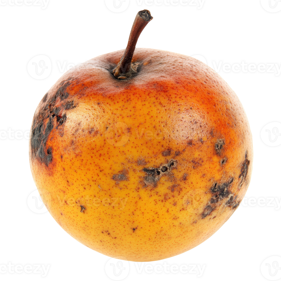 An apple with brown spots on it png