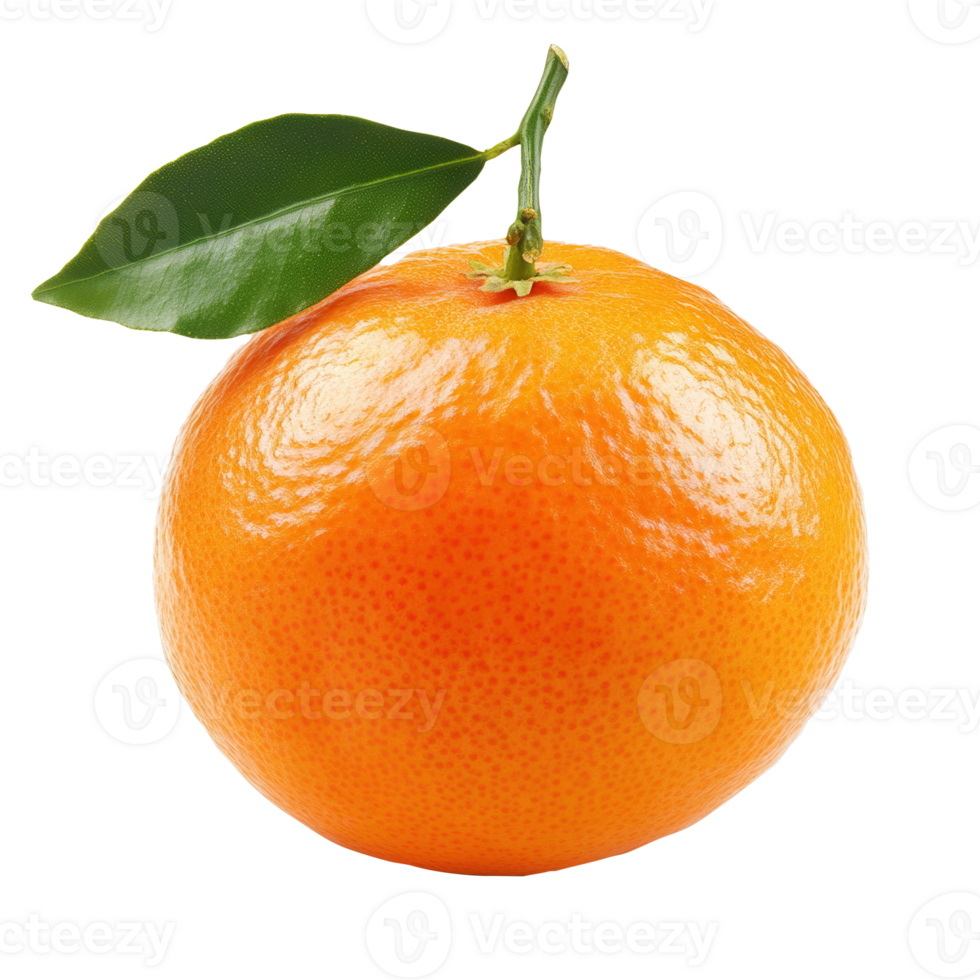 A single orange with a leaf on it png