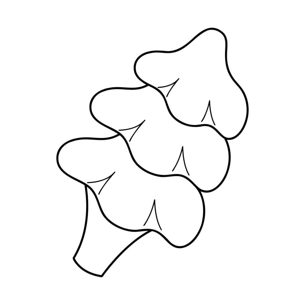A conifer in black outline. Clip art for your projects. vector