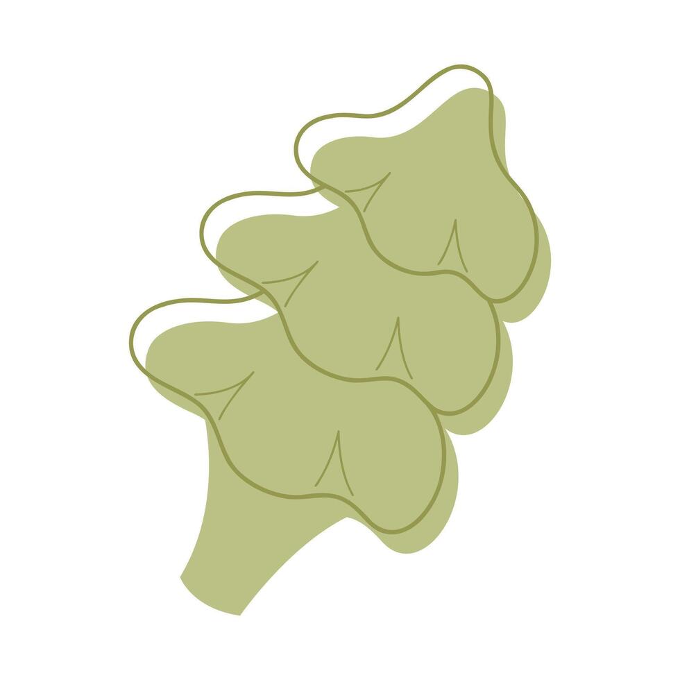 A conifer color. Clip art for your projects. vector