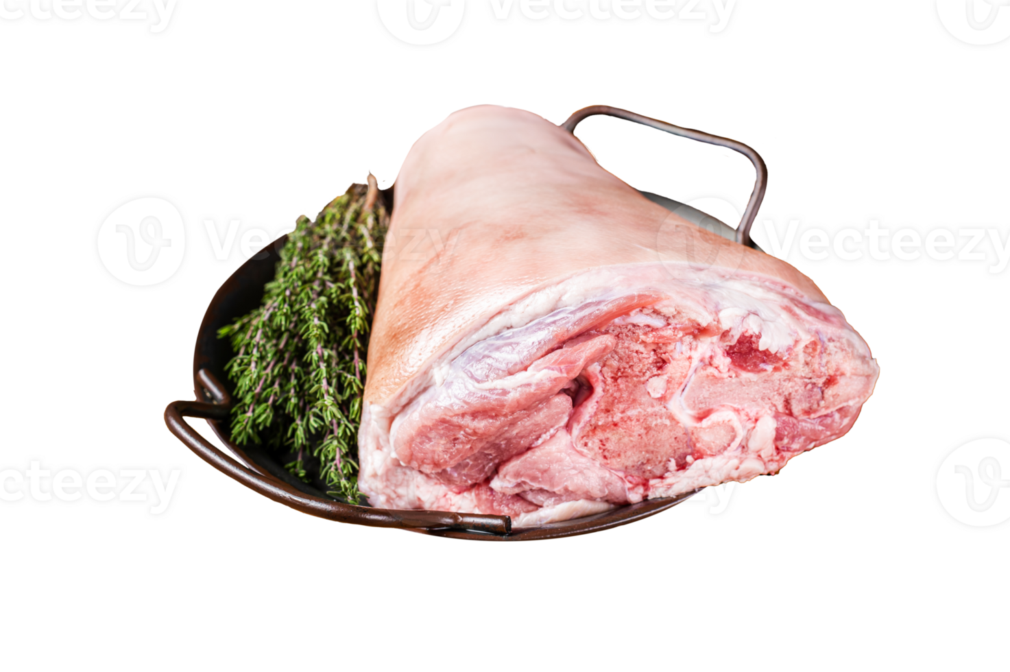Raw pork shank knuckle in a steel tray with herbs. Orange background. Top view png