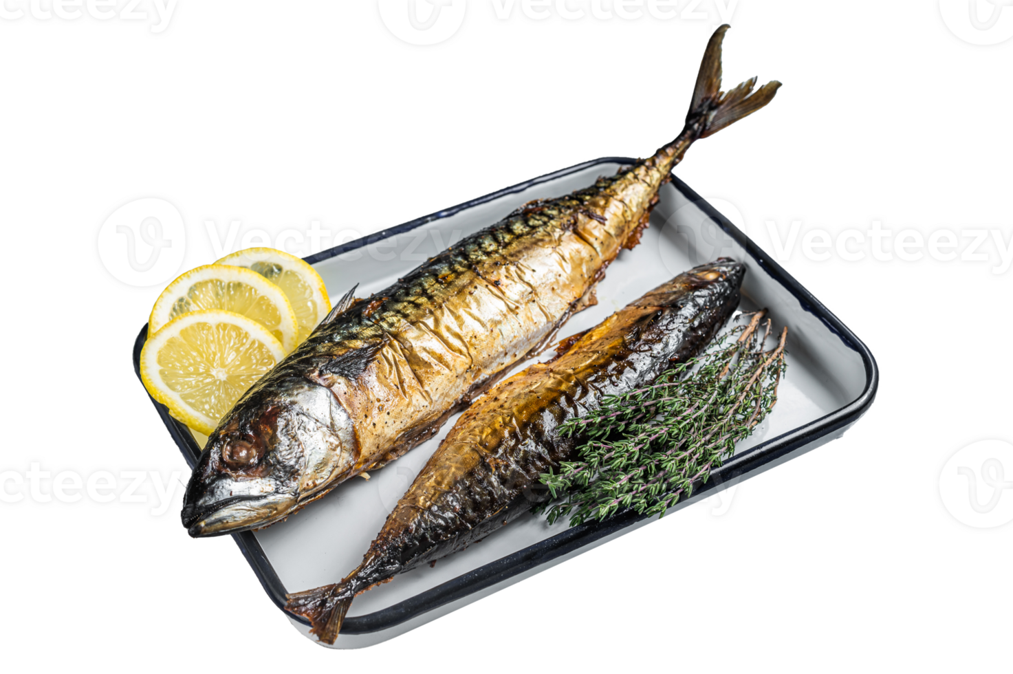 Roasted Mackerel Scomber fish in baking dish. Gray background. Top view png
