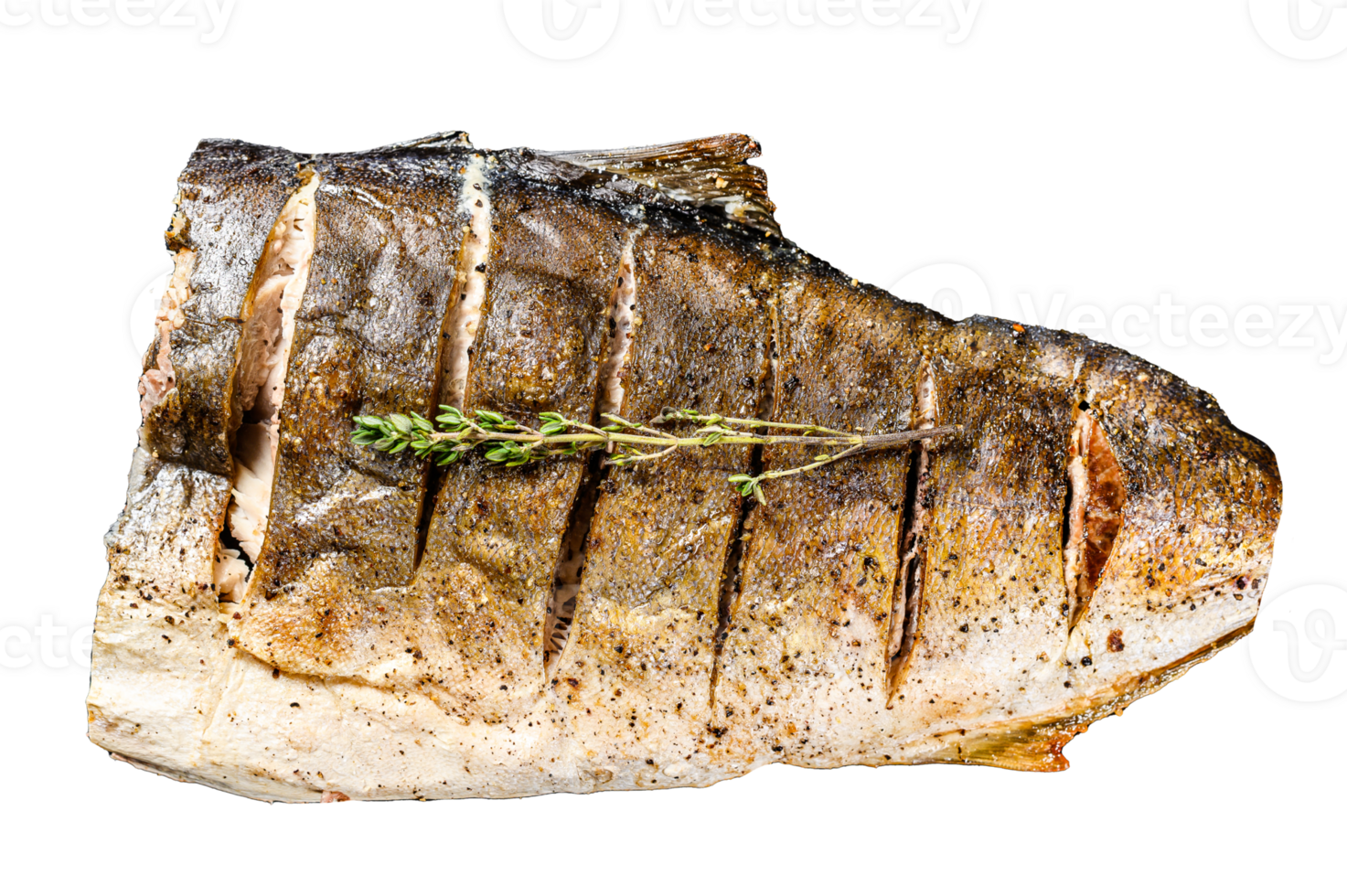 Grilled Yellowtail, Japanese amberjack fillet on a plate. Black background. Top view png