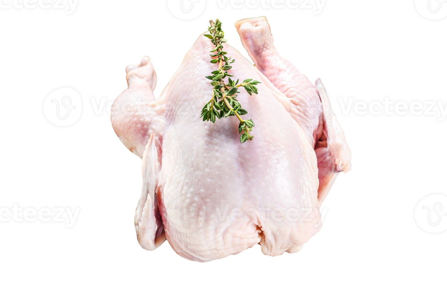Whole raw Free range chicken with thyme and spices. White background. Top view png