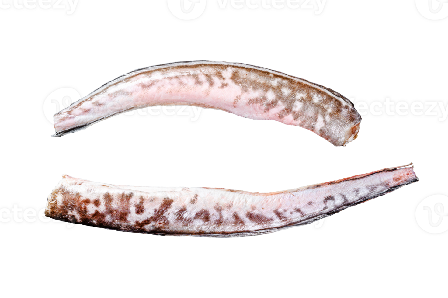 Raw king klip, congrio fish. Black background. Top view png