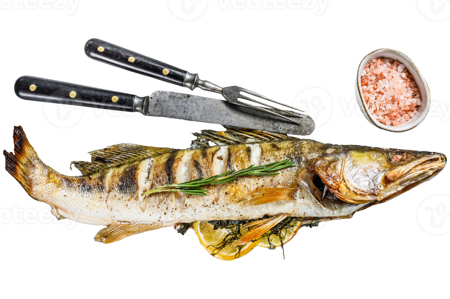 Baked pike perch, pikeperch fish. Gray background. Top view png