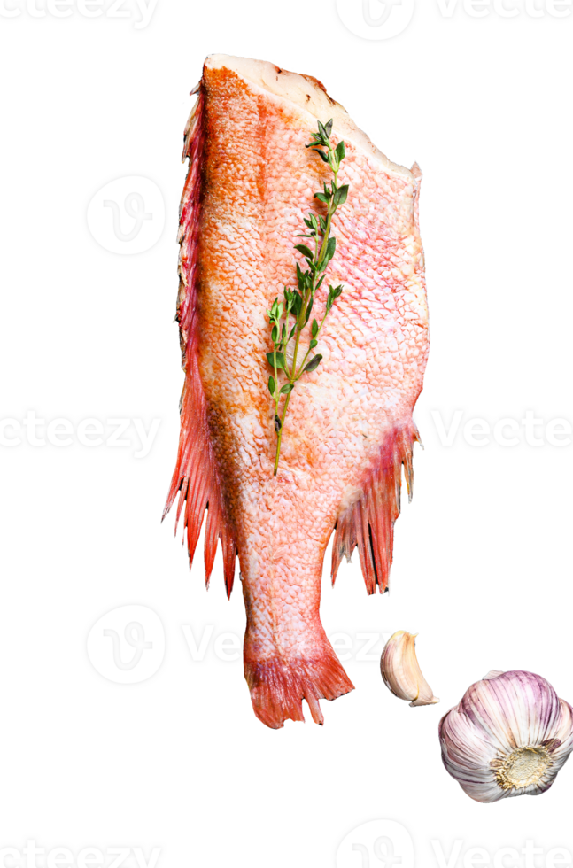 Raw red sea perch on a stone Board with thyme. Black background. Top view png