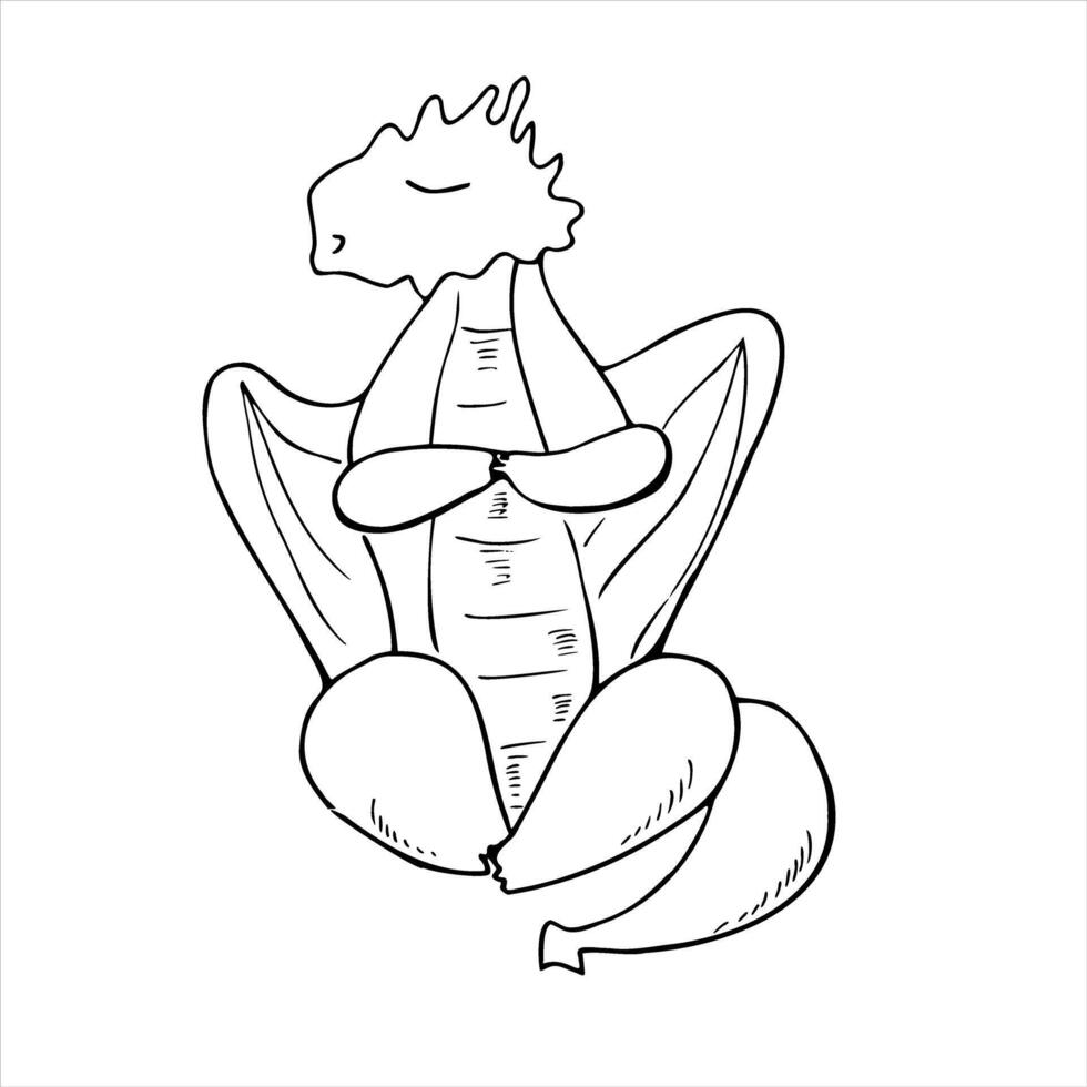 monochrome dragon sitting in lotus pose line ink illustration in black and white. Winged fairytale animal practicing fitness exercises etching drawing. For yoga center, spa, label, poster vector