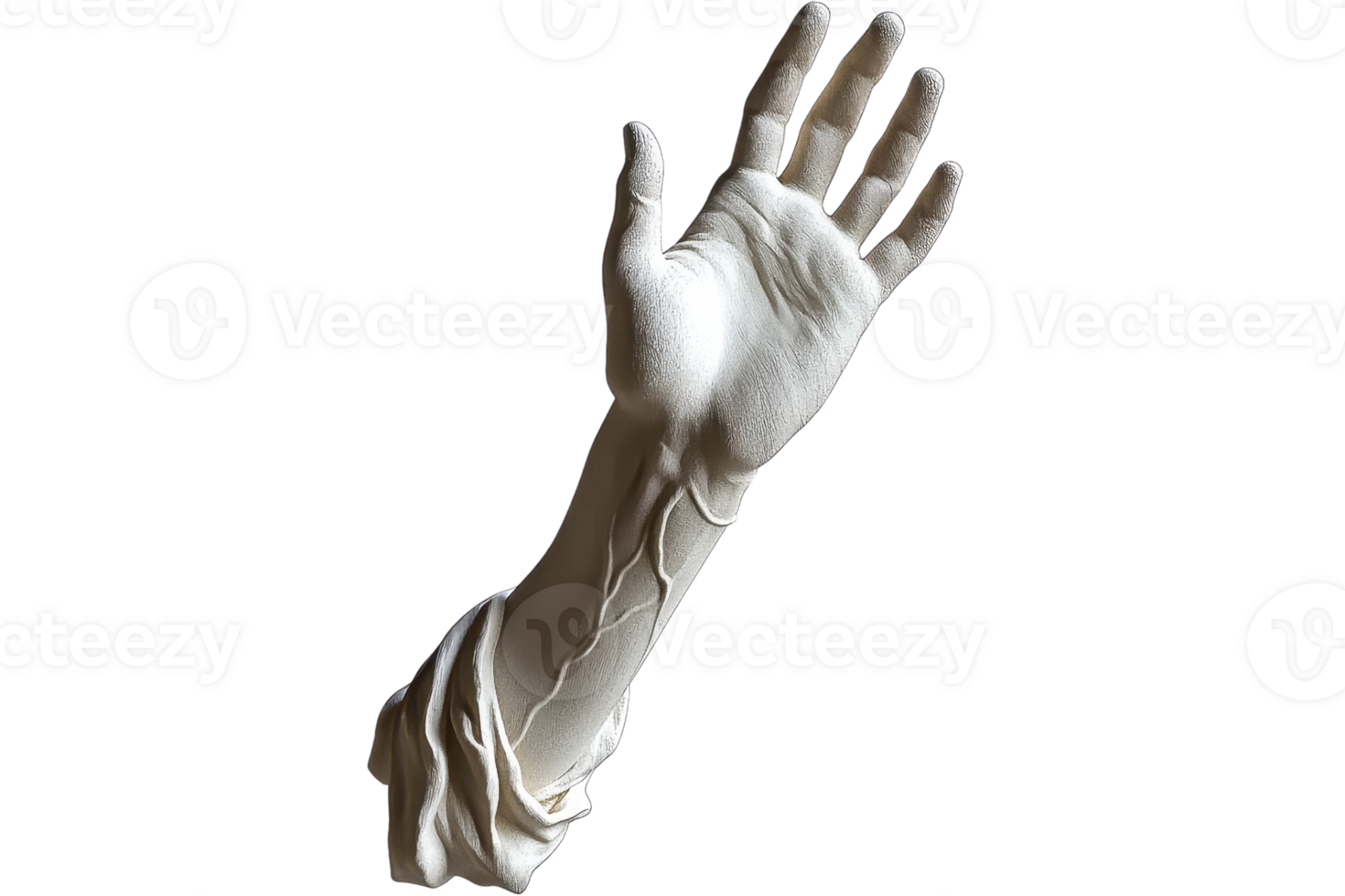 A realistic hand sculpture, showcasing detailed fingers and wrist, with a textured surface that emphasizes its lifelike appearance. png