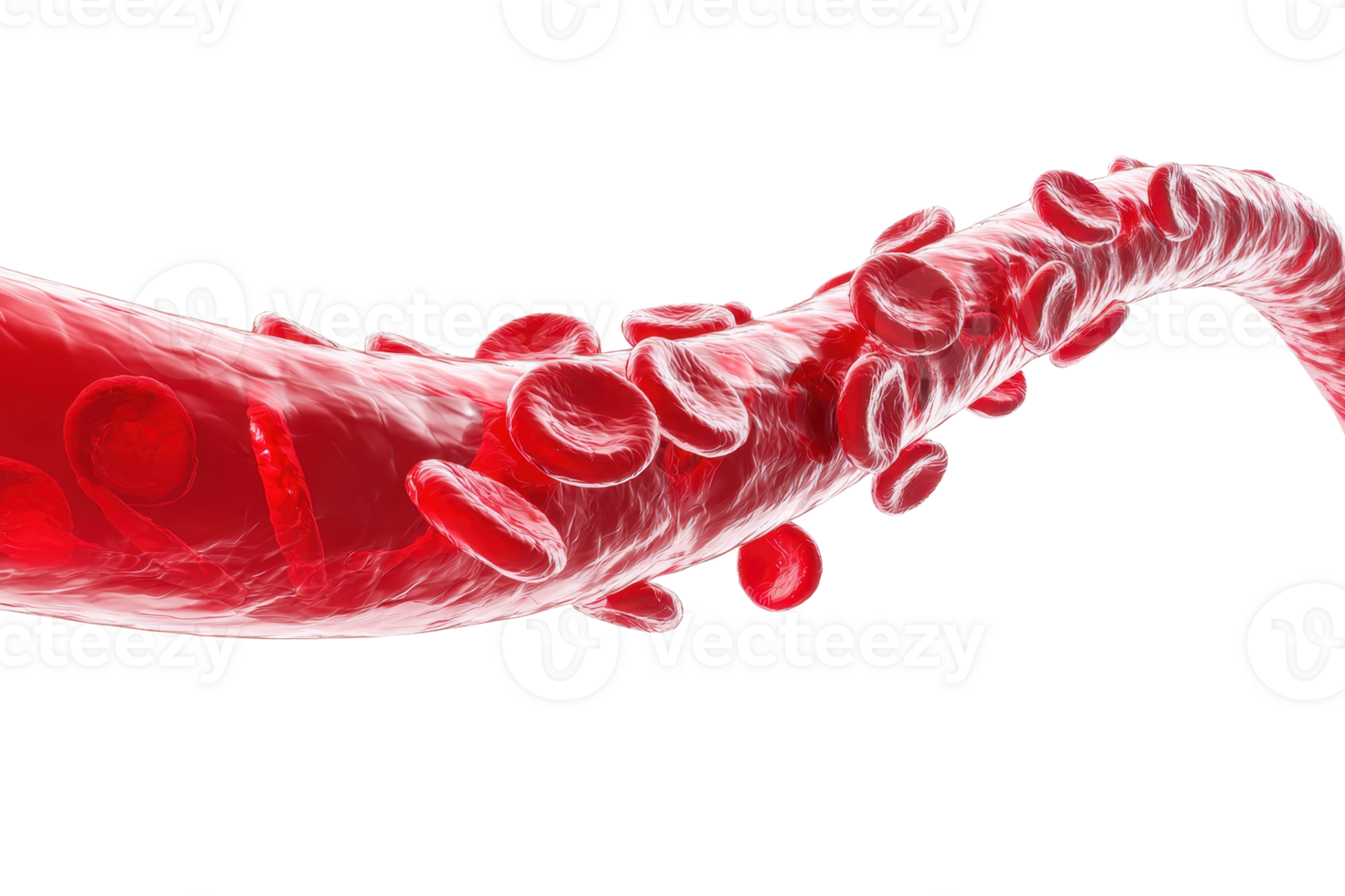 A detailed representation of a blood vessel with flowing red blood cells, showcasing their dynamic movement and structure. png