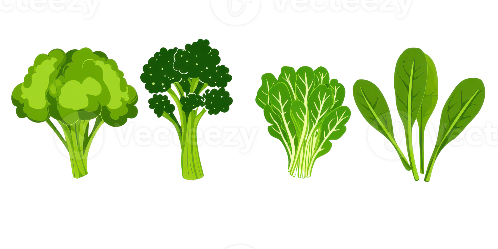 Four varieties of green vegetables including broccoli and leafy greens, showcasing fresh and vibrant colors. png