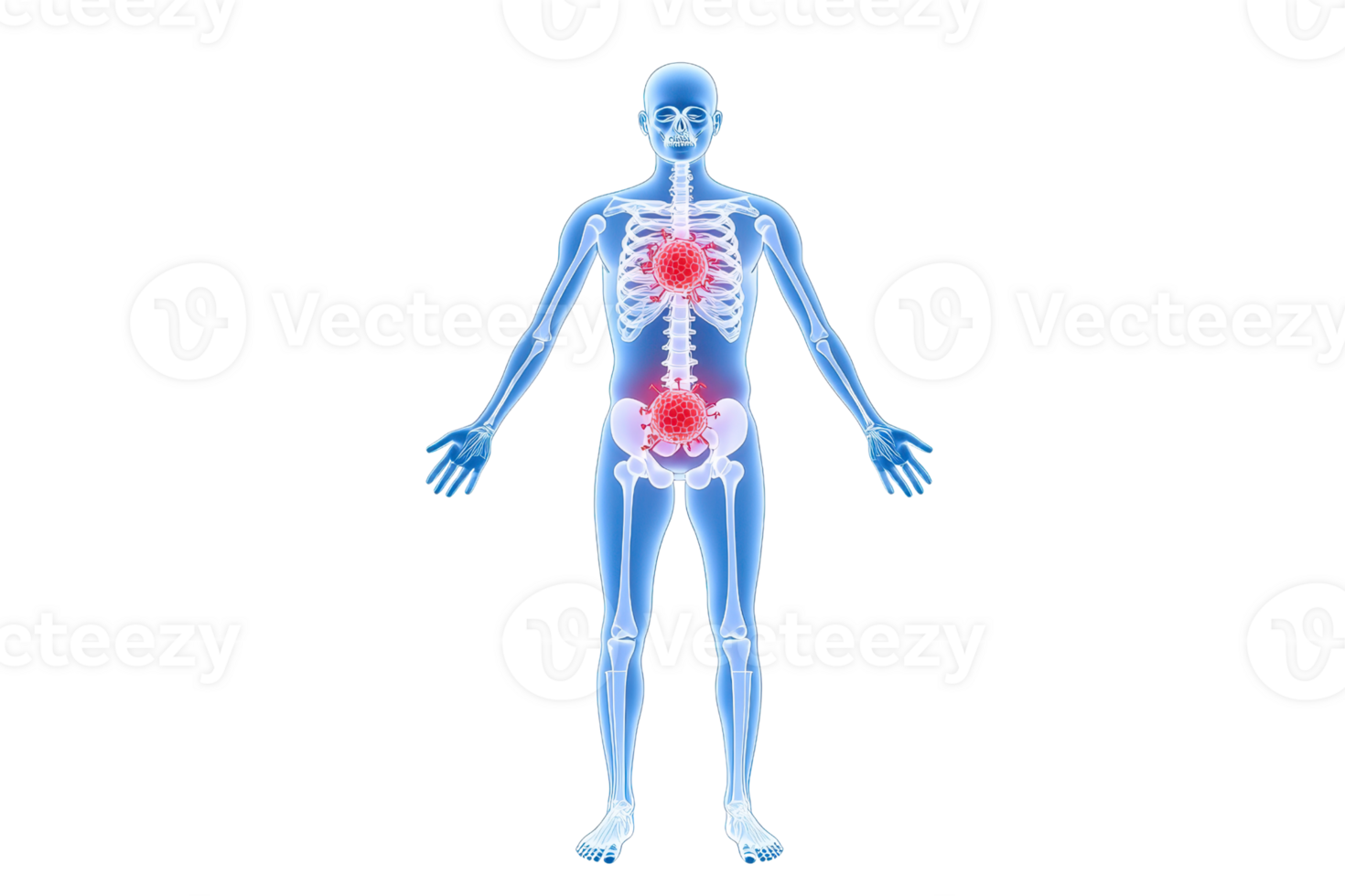 A human figure with a visible skeletal structure and highlighted areas indicating pain or focus points in the torso. png