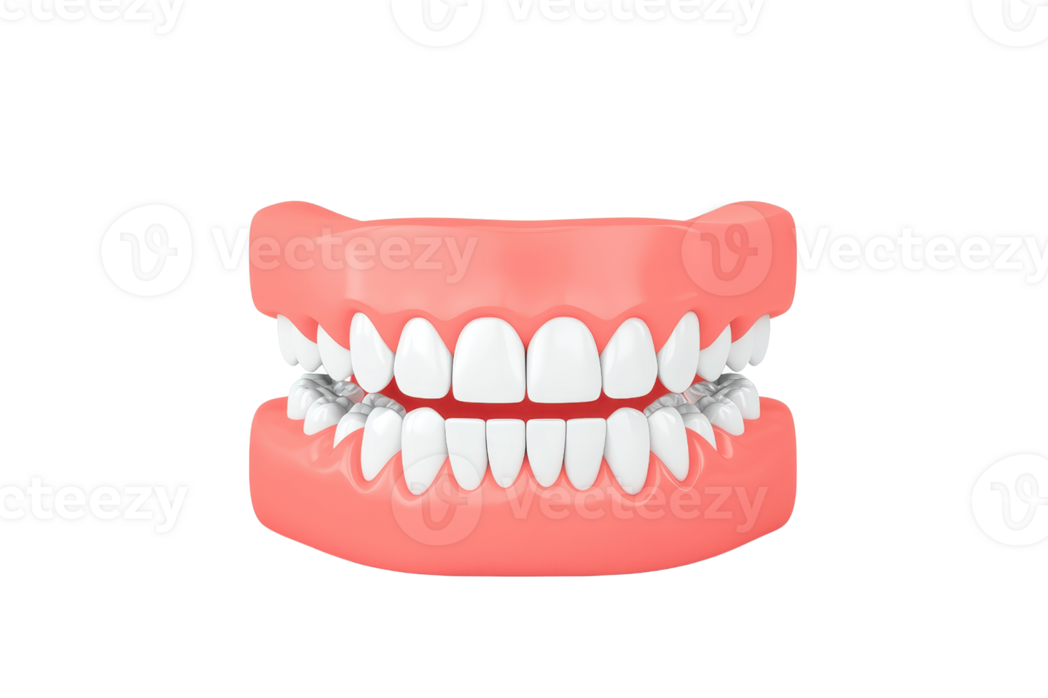 A detailed model of teeth showcasing dental alignment and orthodontic elements. png