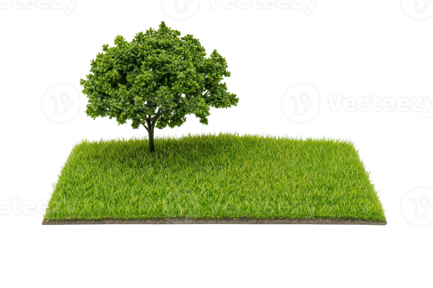 A lush green tree stands prominently on a patch of vibrant grass, showcasing its healthy foliage and natural beauty. png