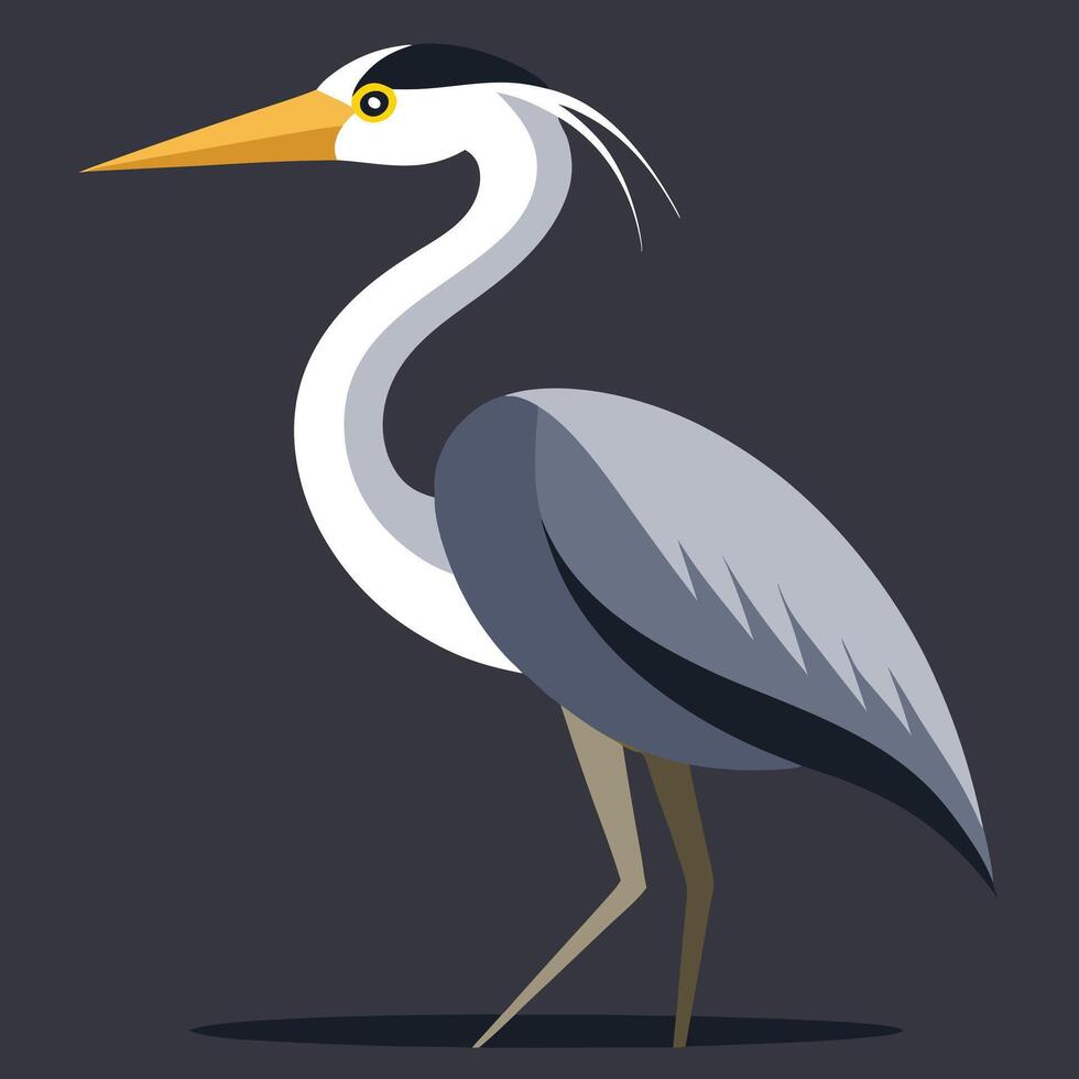 Stylized Bird Illustration Long Beak on Gray Background. vector