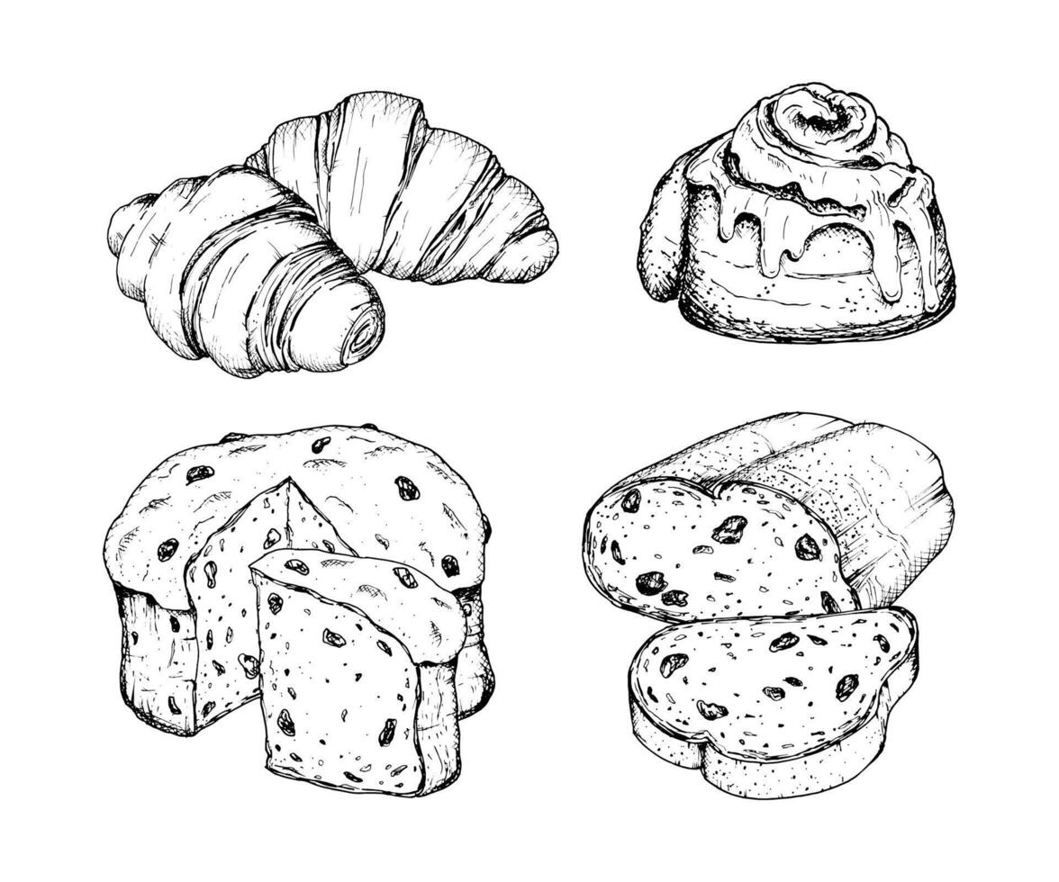 illustrations of pastries drawn with black ink. Set of holiday cakes. Christmas European pastries, panettone, stollen, cinnamon bun with sugar icing, croissants. Detailed hand drawn sketches. vector