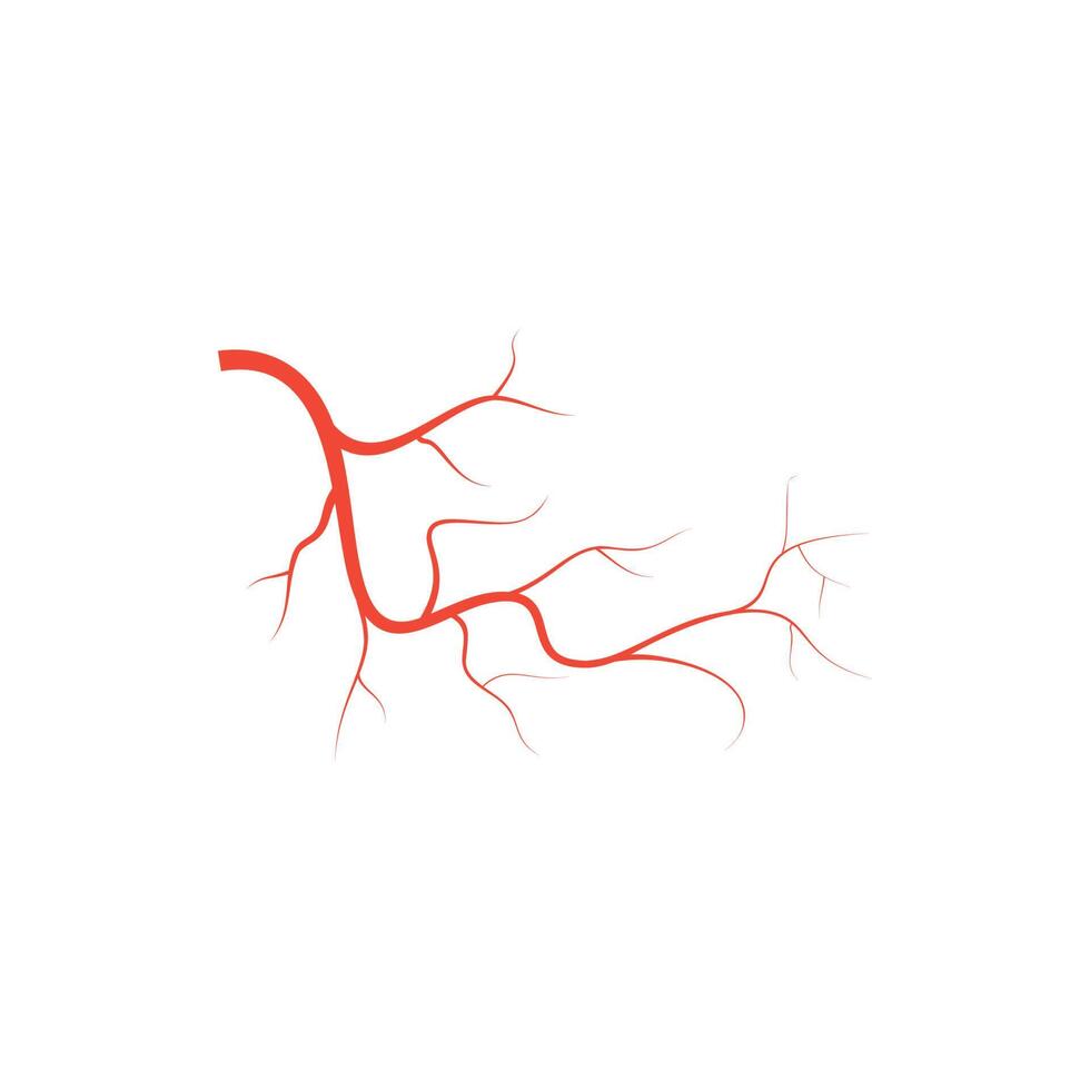 A red branch with a white background vector