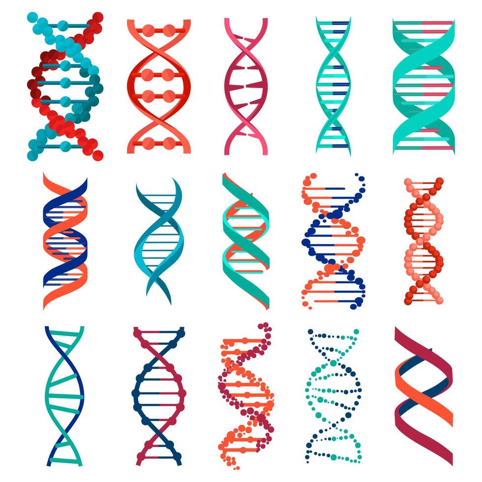 Dna illustration set dna illustration set vector