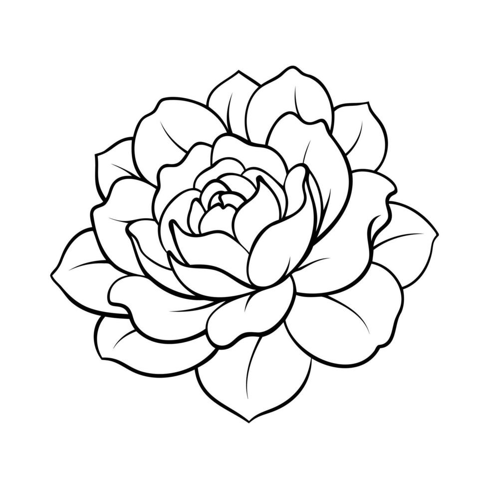 Black and white line art of a detailed peony flower in full bloom vector
