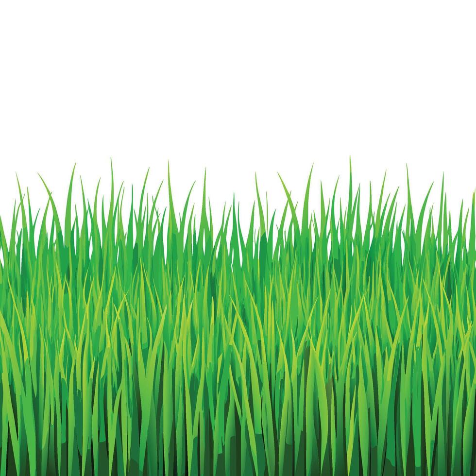 Bright Green Lawn Seamless Texture for Backdrops vector